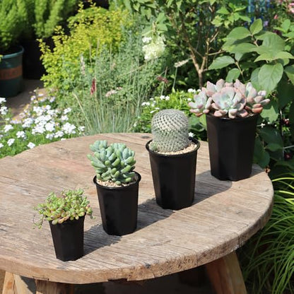14 Pack 4.40 Inch Black Plastic Deep Nursery and Seedling Pots, Round Planter Container for Transplanting, Cutting, Succulent - color: Black, size: 4.40 inch