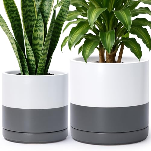 D'vine Dev 2-Pack Ceramic Pots with Saucers, 8/10 in, White/Grey, 94-G-L-6 - color: White/Speckled Grey, size: Large
