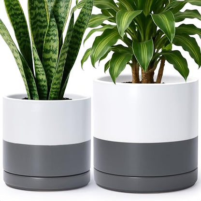 D'vine Dev 2-Pack Ceramic Pots with Saucers, 8/10 in, White/Grey, 94-G-L-6 - color: White/Speckled Grey, size: Large