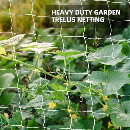 Trellis Netting, PDGROW Garden Plant Trellis Netting, 6 x 15 ft Heavy Duty Garden Trellis Netting, Outdoor Grow Net for Vines, Fruits, Vegetables, Grapes, Beans,Peas, 1 Pack - size: 6x15ft - 1 Pack