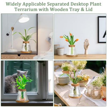 6 Pcs Glass Plant Propagation Station with Wood Lid & Stand, Cute Style - style: Cute Style