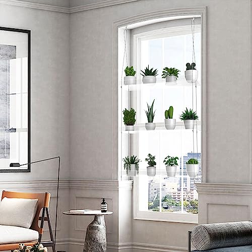 3-Tier Hanging Clear Plant Shelves for Windows, 16 Inch per Tier - size: 3 Tier