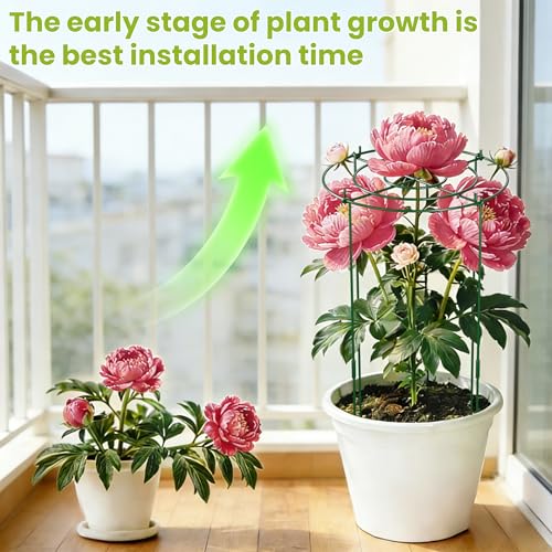 6 Pack Peony Cages and Supports, 12" x 24" Tall Peonies Support Cage