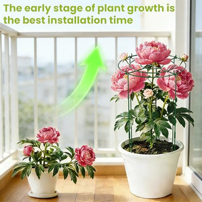 6 Pack Peony Cages and Supports, 12" x 24" Tall Peonies Support Cage