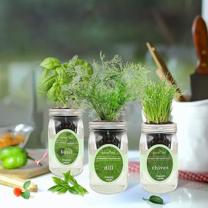 Hydroponic Herb Growing Kit Set, Self-Watering Mason Jar Herb Garden Starter Kit Indoor, Windowsill Herbs Garden, Grow Your Own Herbs from Organic Seeds (Basil, Dill, Chives) - color: Basil, Dill & Chives