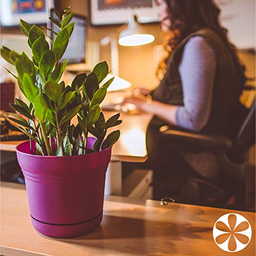 Bloem SP1460 Saturn Planter, 14" Peppercorn - color: Peppercorn, size: 14"