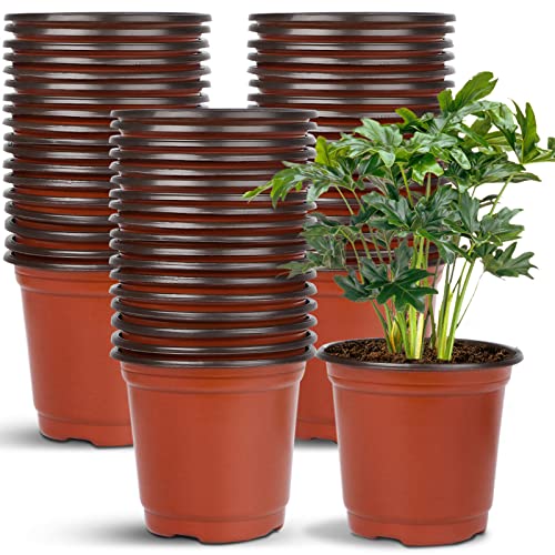 Augshy 40 Pcs 6 Inches Plastic Plant Nursery Seed Starting Pot for Outdoor - size: 6 Inch
