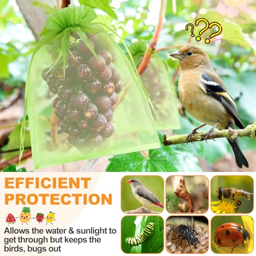 DQS Fruit Protection Bags, 100pcs 6"x8" Green Mesh Organza Produce Bags