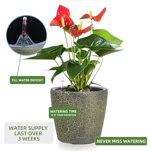 Dexceder 11x10 Self Watering Planter (Black Gold Crackle) - color: Black Gold, size: 11x10