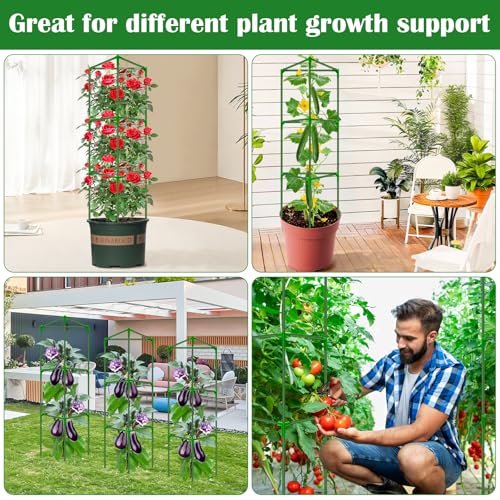 3 Packs Fiberglass Tomato Cages for Garden, 56 Inch Tall Tomato Plant Support, Adjustable Tomatoes Stakes Plant Climbing Trellis for Garden Vegetables Fruits, Tomatoes Support Cages with Clips - size: 3 Packs 56 Inches