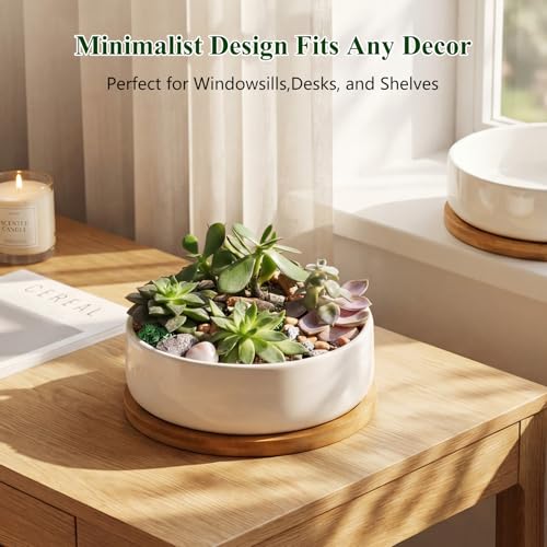 ZOUTOG 2 Pack 6" Ceramic Succulent Pots, White Planters with Drainage Tray - color: 2 Pack, size: 2.28 Inch High