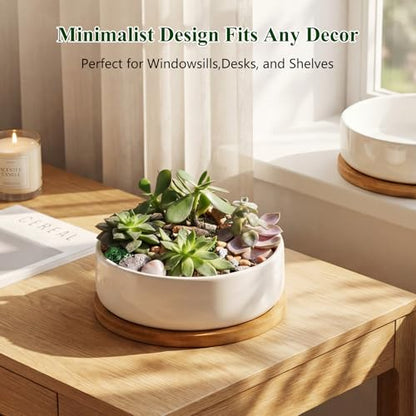 ZOUTOG 2 Pack 6" Ceramic Succulent Pots, White Planters with Drainage Tray - color: 2 Pack, size: 2.28 Inch High
