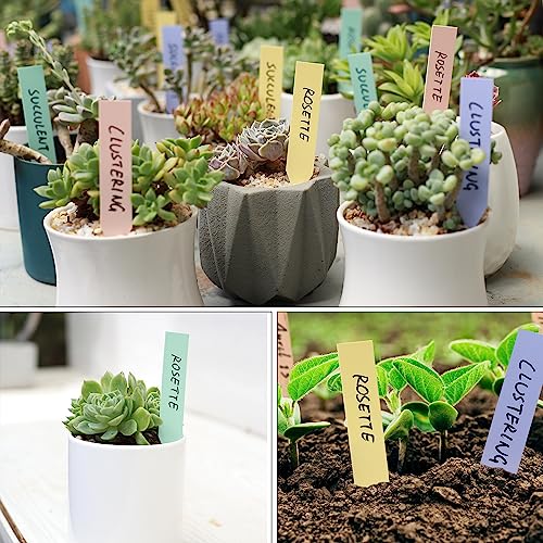 Mr. Pen- Plastic Plant Labels, 100 Pcs, 4“, Pastel Colors Plant Markers - color: Pastel Plant Labels