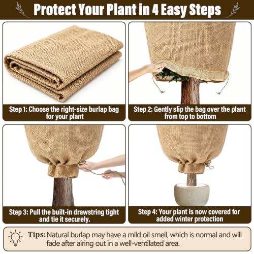 Riare 4 Packs 24 × 40 Inch Large Winter Plant Cover Bags with Drawstring - size: 24 × 40 Inch