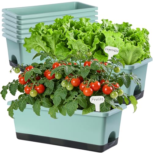 Oliz Window Box Planter 8 Pcs, 17 Inches Rectangle Flower Pots with Drainage Holes & Trays, Vegetable Planters for Windowsill Patio Garden Balcony Home Indoor Outdoor (Green, 16 * 7 * 6 inch) - color: Green