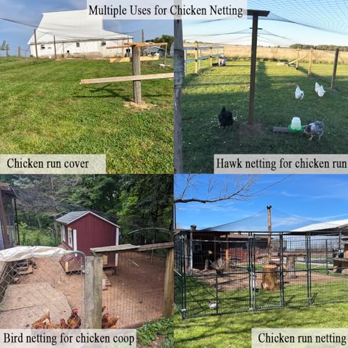 Bird Netting for Chicken Coop 50x100 FT, 1" Chicken Run Cover Net - size: 50X100 FT