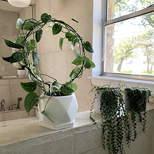 Acrux7 10 Pcs Circle Indoor Plant Trellis for Potted Plants