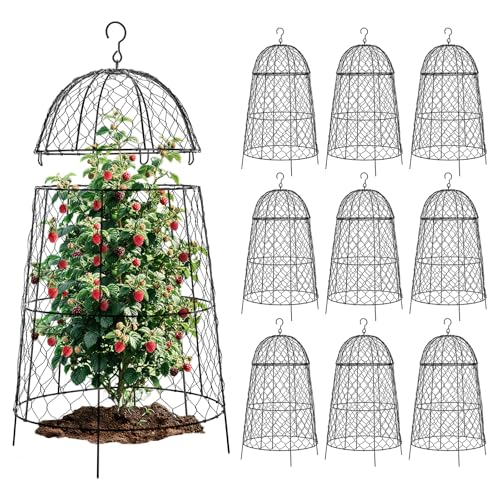 Chicken Plant Protector 10 Pcs, 20×12.6in Cage for Large Plants, Split Design and Anti-Rust Coated Metal Plant Cover for Outdoor Plants, Wire Mesh Covers for Plants - size: Set of 10 (20 inch high)