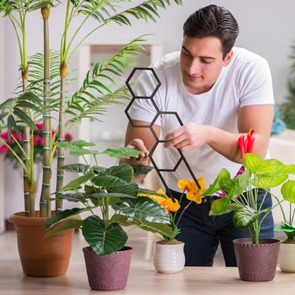 4 Pcs Plant Trellis Indoor Black Small Trellis for Potted Plants - style: Style 1
