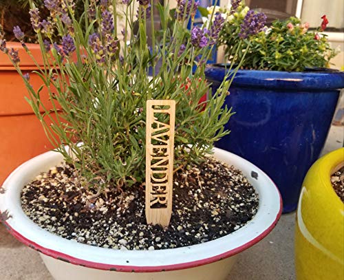 Bamboo Herb Markers - Set of 12 Beautiful Garden Labels - Sturdy Outdoor Garden or Potted Herb Markers