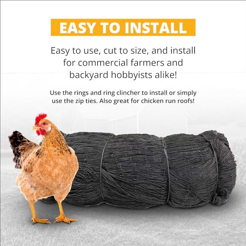Stromberg's 1" Knotted Netting, Game Bird Netting, 50'x100' - style: 1" Netting - 50' x 100'