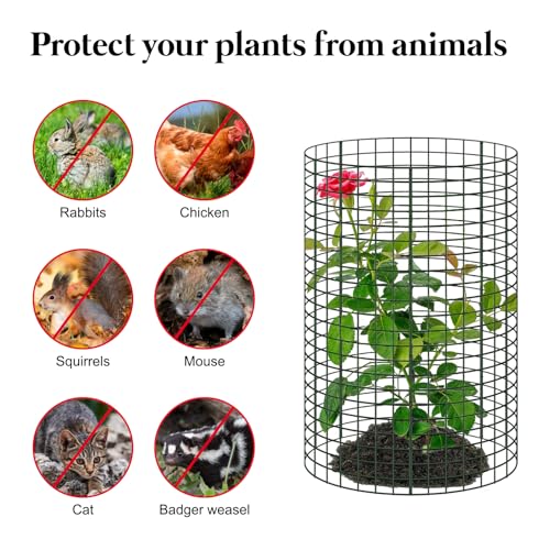 8 Pack 24'' x 12'' Large Wire Plant Protector from Animals, Metal Plant Wire Cage Chicken Wire Cloche with Ground Stakes , Labels and Nylon Tie to Keep Animals Out, Garden Protection Bunny Barricade