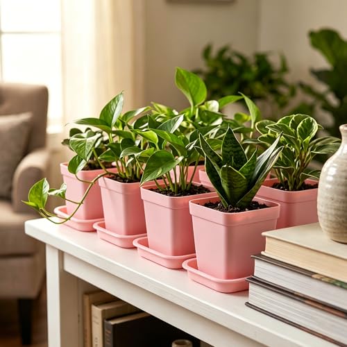 150 PCS 2.8 Inch Square Nursery Plant Pots, Plastic Plant Seedling Pots with Drainage Holes, Pink Plant Seedling Pots for Starting Seedlings or Garden Plant