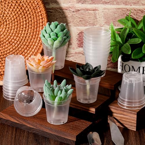 Yaomiao 200 Pcs 2 Inch Clear Mini Nursery Pots with Drainage Holes - color: Clear, size: 2 Inch