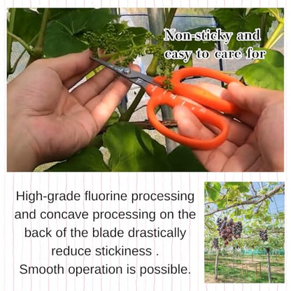 CHIKAMASA B-500SF Japanese Gardening Shears (2-Pack) with a Bonus Microfiber Cleaning Cloth - Fluorine Coated Stainless Steel Precision Trimmers for Grapes, Herbs, and Bonsai