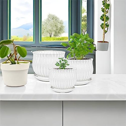 Yesland 3 Pack Ceramic Planter Pots, 3.9"/5.3"/6.7" Modern Round Flower Pots with Drainage Holes & Saucers, Small Indoor Planters for Succulent Cactus, Home Decor Gift