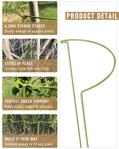 6-Packy Plant Support Stakes, Steel Stakes for Indoor Plants, Monstera & Peony Support, Tall Plant Sticks for Snake Plant, Climbing Vines (8" Wide x 14" High)