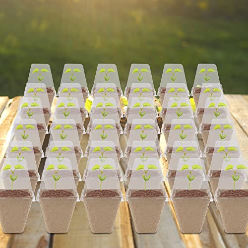 winemana Seed Starter Peat Pots,Biodegradable with Humidity Dome and Labels For Plant Nursery, Seedlings Planting For Indoor Outdoor Garden (Square)36 Set - size: Square
