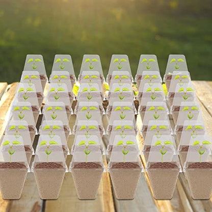winemana Seed Starter Peat Pots,Biodegradable with Humidity Dome and Labels For Plant Nursery, Seedlings Planting For Indoor Outdoor Garden (Square)36 Set - size: Square