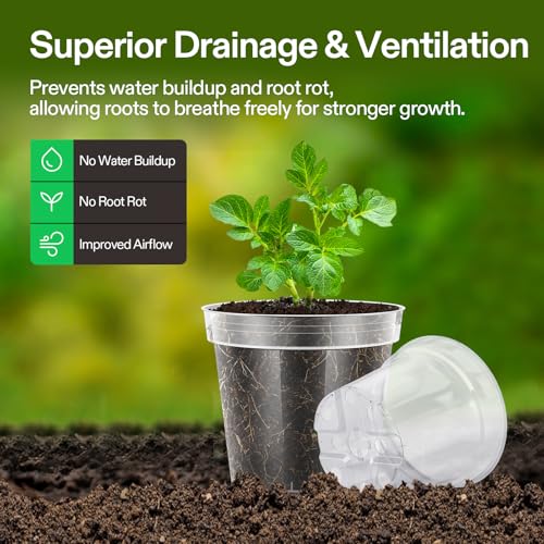 VIVOSUN 80 Packs 3/4/5/6 Inch Clear Nursery Pots with Drainage Holes, Reinforced Plastic Seedling Pots for Plants, Flowers, Cuttings, and Succulents, 40 pcs Plant Labels - size: 3/4/5/6 Inch (Pack of 2)