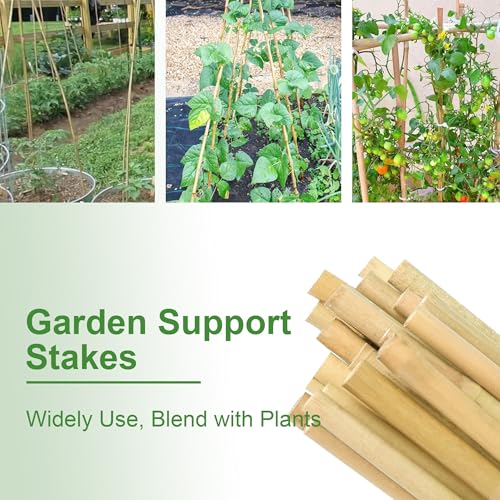 Garden Stakes 4ft, Natural Bamboo Stakes 4 Feet, Thicker Sturdy Plant Stakes 25 Pack for Tomatoes, Beans, Flowers, Potted and More Climbing Plants - size: 4FT, pack of 25