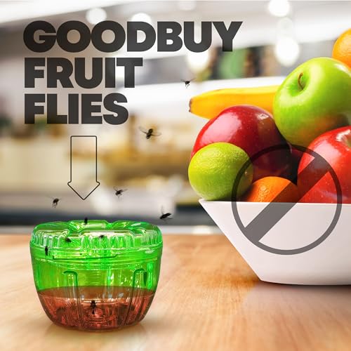 REENSTRIKE 2-Pack Fruit Fly Traps for Indoors use. 120 Days Solution – Gnat Trap and Effective Fruit Fly Trap – Easy to Use – Best for Kitchen – Dining Areas - Reusable