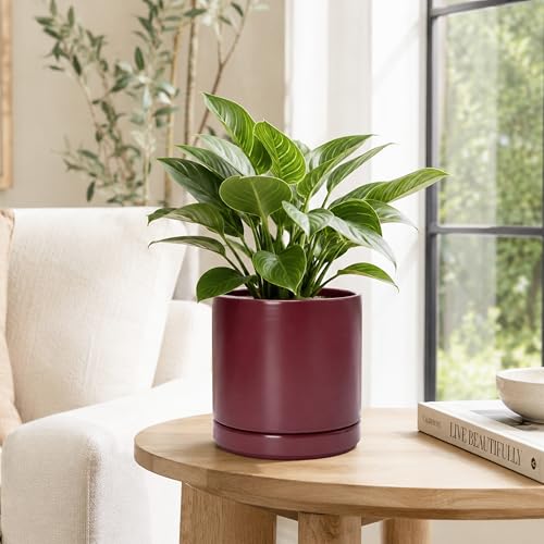 D'vine Dev 8 Inch Ceramic Planter Pot, Cordovan, 94-O-D-4 - color: Cordovan, size: Medium