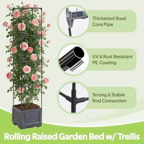 Tomato Planter Box with Trellis & Wheels - Rolling Raised Garden Bed with Tomato Cages for Climbing Plants - Mobile Tomato Pots w/Cage Plant Support for Flower Vegetable Vine Indoor Outdoor - color: Dark Gray - Square