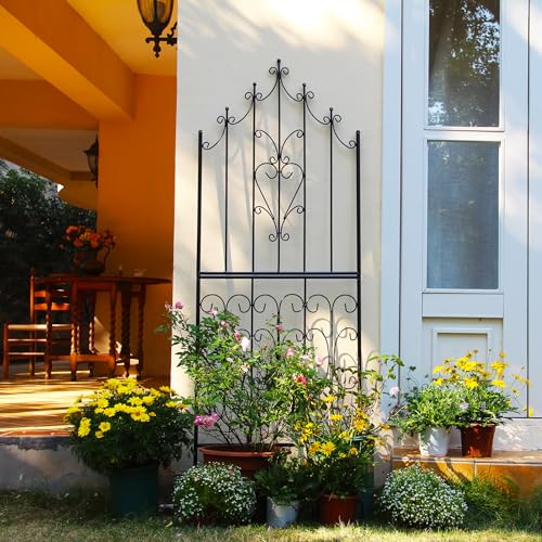 Garden Trellis for Climbing Plants 70.8" H x 25.6" W Metal Premium Quality Material Rust-Resistant Climbing Frame Stylish Garden Addition Outdoor Roses Vine Ivy Clematis Trellises Black