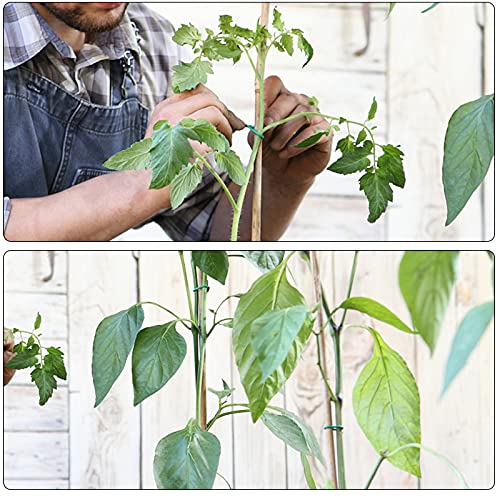 YDSL 100 Feet Soft Tie for Plants, Green Twist Garden Ties Gardening Supplies for Supporting Climbing Plants, Tomatoes, Vegetables, (Diameter - 2.5MM) (Pack of 2) - size: 100feet (Pack of 2)