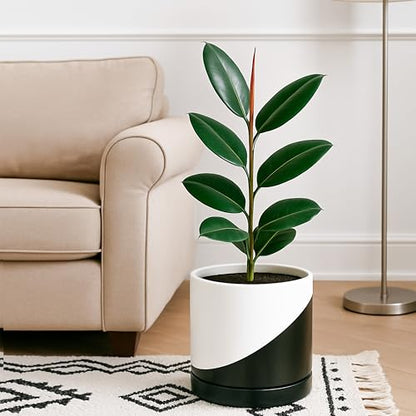 D'vine Dev 10 Inch Ceramic Planter Pot, Black White Diagonal, 94-O-E-K - color: Oblique Monochrome Black & White, size: Large