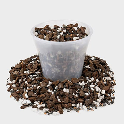 Premium Bonsai Soil All Purpose Fast Draining Mix - 10 Quart - Pumice, Lava, Calcined Clay and Pine Bark Potting Pre Mixed Bonsai Plant Soil Mixture by GARDENERA - Made in USA - (2 Bags of 5QT) - color: Bonsai Soil, size: 10 Quart Bag