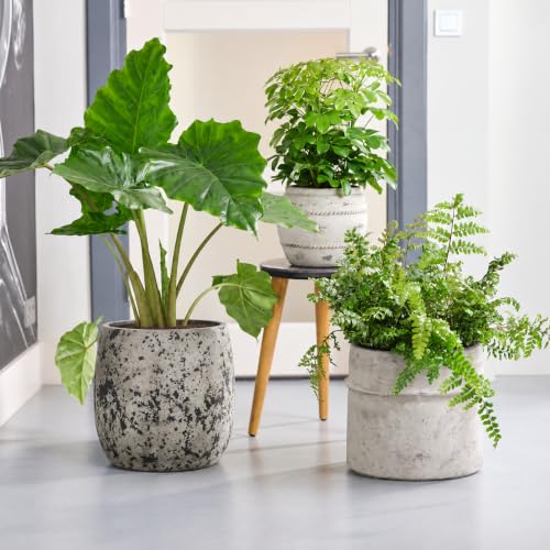 14.2",10.4",7.1" Dia Round Concrete Planter Set of 3, Indoor Outdoor Large Plant Pot with Drainage Hole and Rubber Plug for Home Patio Garden - color: Gray