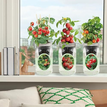 Hydroponic Mason Jar Indoor Garden Organic Seed Starter Kits - Tomato Trio Garden Growing Kits, Gardening Gift (Red Robin Tomato, Cherry Tomato - Tiny Tim, Sweetie Cherry Tomato) - color: Tomato Trio Garden Kits