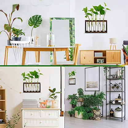 XXXFLOWER 5Test Tube Plant Propagation Station Plant Terrarium Wooden Stand - size: 5 Glass Tubes Vases