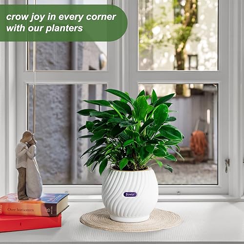 Self Watering Planters 7 Inch Self Watering Pots for Indoor Plants, African Violet Pots with Wick Rope, Flowers, Succulents, Herb, House Plants - color: Green