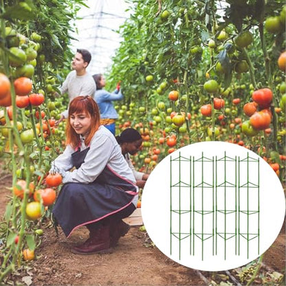 Moirsunt 66Inch Tomato Cage for Garden, 4Pack Plant Support Garden Stakes - size: 4Pack 66 Inch