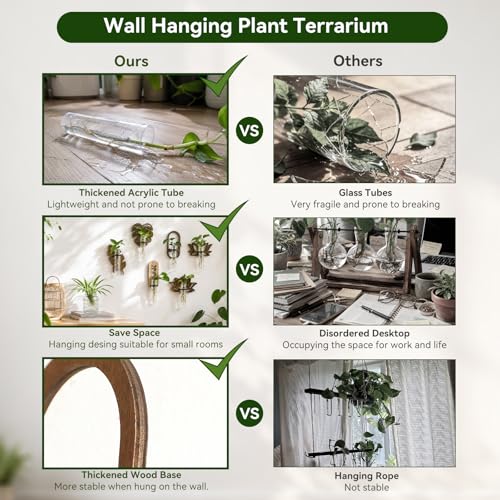 Artilady Plant Propagation Station Wall Hanging, Planter Terrariums Tube - color: Oval