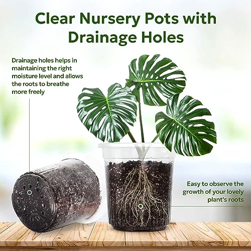 Bluepro Clear Nursery Pots with Drainage Holes, 7 Inch, 1 Gallon, 30-Pack - size: 7 Inch-30Pcs