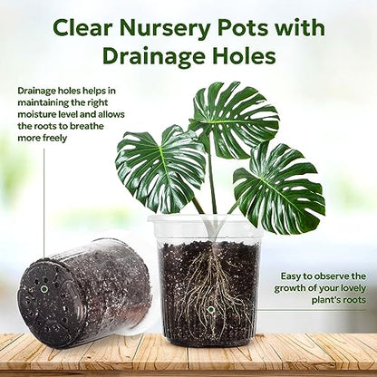 Bluepro Clear Nursery Pots with Drainage Holes, 7 Inch, 1 Gallon, 30-Pack - size: 7 Inch-30Pcs